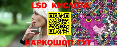 прущие грибы Северобайкальск