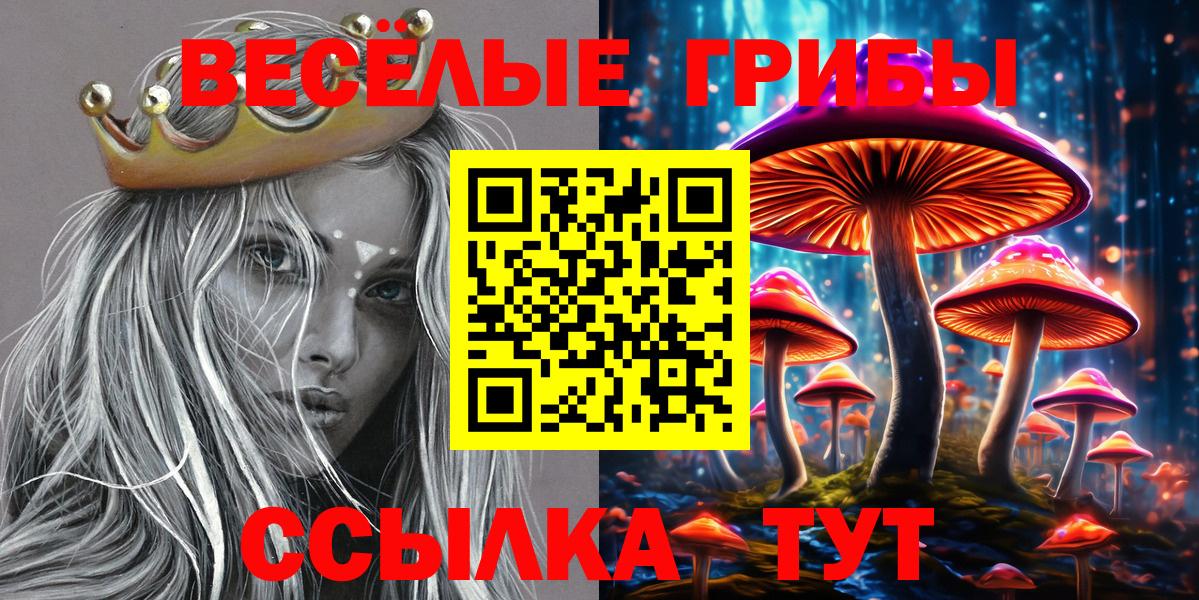 Галлюциногенные грибы прущие грибы  Вход с VPN  купить наркотик  Галлюциногенные грибы MAGIC MUSHROOMS  Петропавловск-Камчатский 